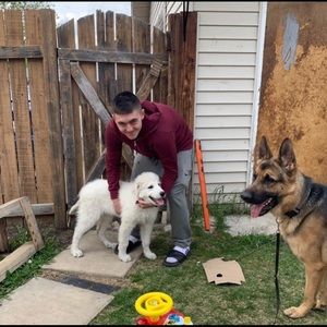 Meet your Posher, Liam